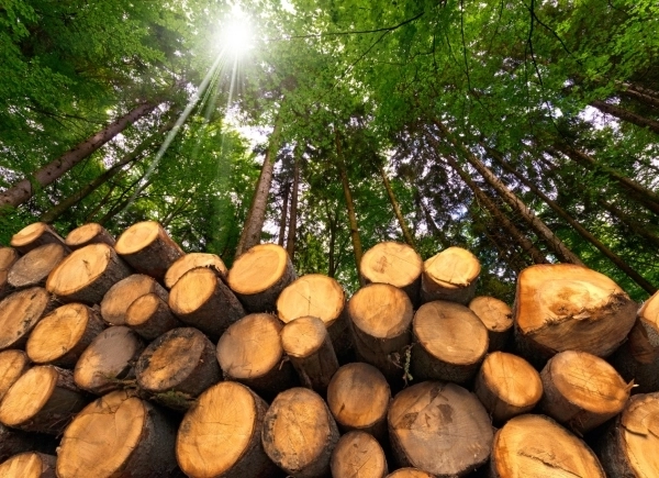 Lorem ipsum dolor sit amet, consectetur adipiscing tempor